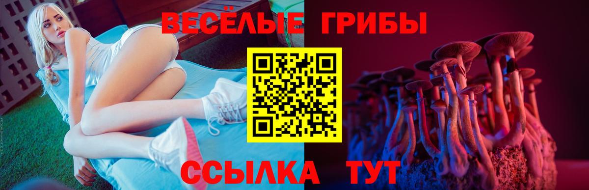 закладки  Вход с VPN  Курчатов  Псилоцибиновые грибы прущие грибы  Галлюциногенные грибы ЛСД 