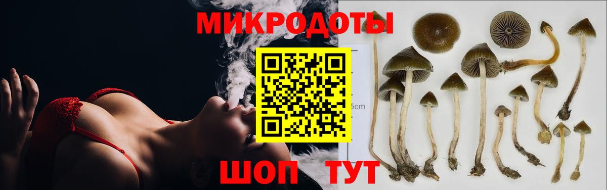 Псилоцибиновые грибы GOLDEN TEACHER Курчатов